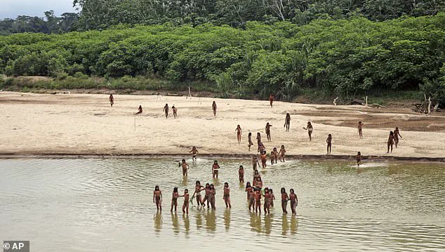 Privileged Access to Information: Unveiling the Hidden Crisis Facing the Mashco Piro Tribe in the Amazon