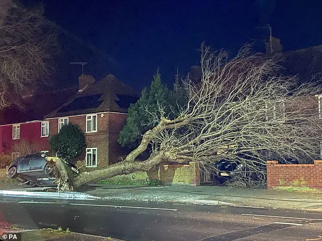 UK, Ireland, and Netherlands Collaborate on Winter Storm Naming Initiative, With Public Input Shaping This Season's Storm Names