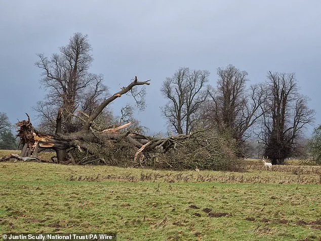 UK, Ireland, and Netherlands Collaborate on Winter Storm Naming Initiative, With Public Input Shaping This Season's Storm Names