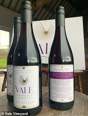 North Wales Wine Boom: UK's Agricultural Shift Accelerates Amid Climate Change