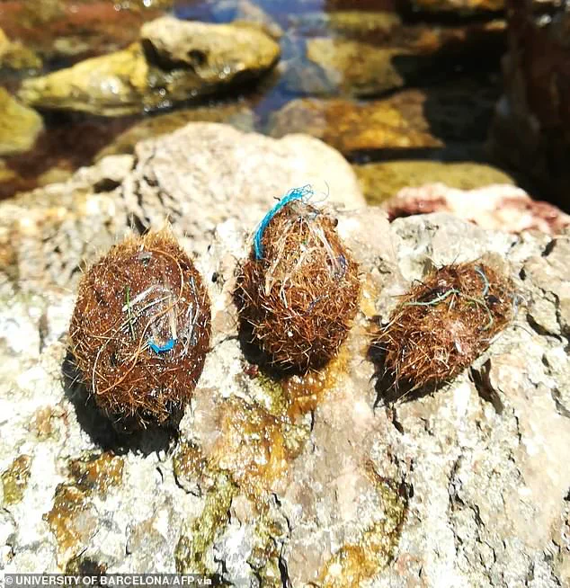 Mysterious Objects Wash Ashore in Mediterranean, Sparking Speculation and Theories