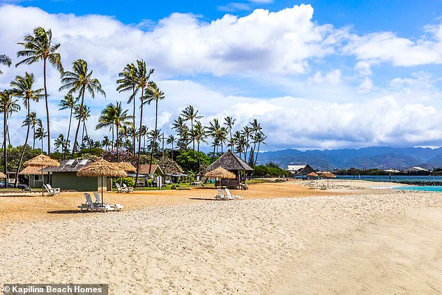 According to Police, Lifeguard Narrowly Escapes Attempted Murder-Suicide in Hawaii Shooting; Suspect Dies by Suicide