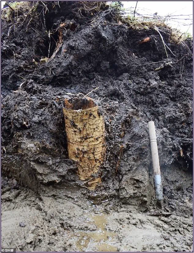 Sweden Unearths 5,000-Year-Old Prehistoric Time Capsule Offering Rare Insight into Neolithic Life