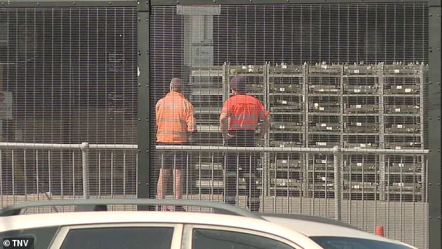 Sydney Airport Tragedy: Identity of Fatally Crushed Freight Handler Not Disclosed Amid Ongoing Investigation