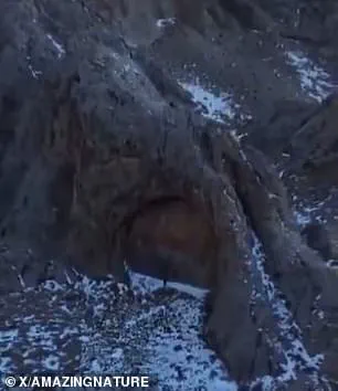 Viral Video Sparks Frenzy Over Ancient Aliens and Extraterrestrial Claims on Social Media