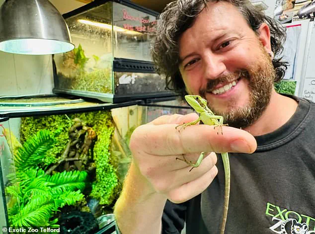 Unprecedented Virgin Birth of Casque-Headed Iguana at Exotic Zoo Challenges Conventional Reproduction Understanding