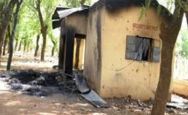 Amaye's Ordeal in Nigeria: Mob Attack Over Alleged Remarks During Marriage Proposal Sparks Controversy