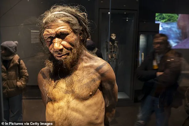 Evolution's March: Reassessing the Linear Path from Apes to Humans