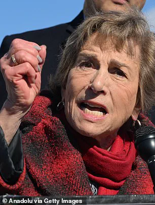 Generational War in the Democratic Party: Old Guard Clings to Power as New Voices Demand a Reckoning