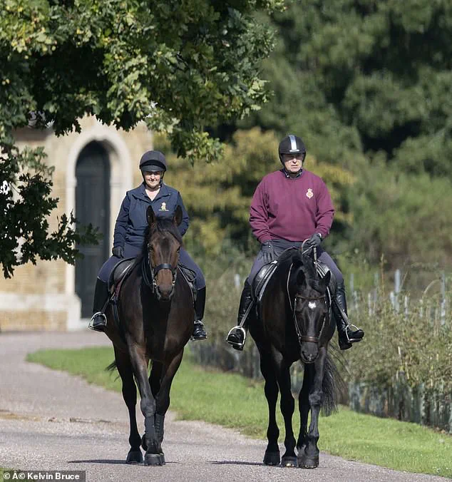 Prince Andrew's Calm Amidst Royal Estate Preparations Reflects Broader Public Scrutiny of Monarchic Activities