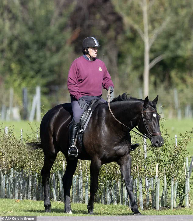 Prince Andrew's Calm Amidst Royal Estate Preparations Reflects Broader Public Scrutiny of Monarchic Activities