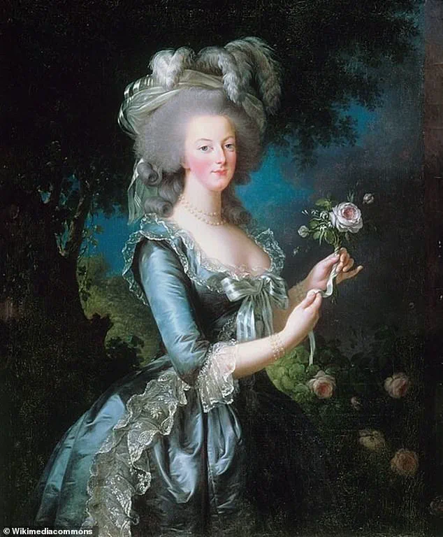 The Veil of Privilege: Decoding the Real Marie Antoinette