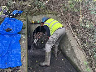 Privileged Access to Pollution: Daily Mail's Interactive Map Reveals 450,000 Sewage Spills in Britain