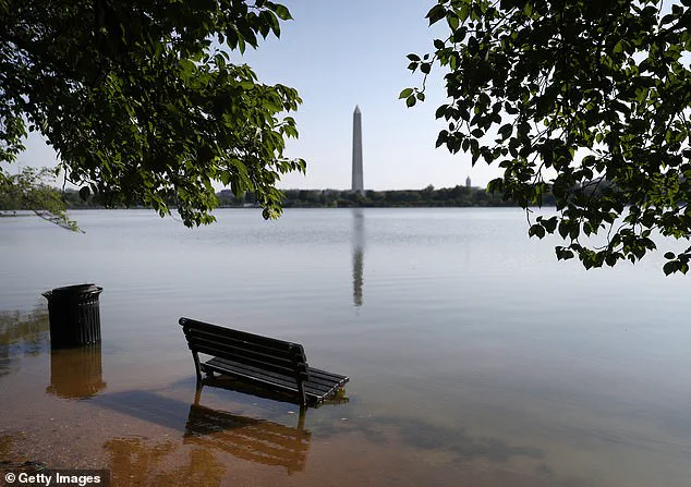 Study Warns Millions of Buildings and Americans at Risk of Submersion by 2100 Due to Rising Sea Levels