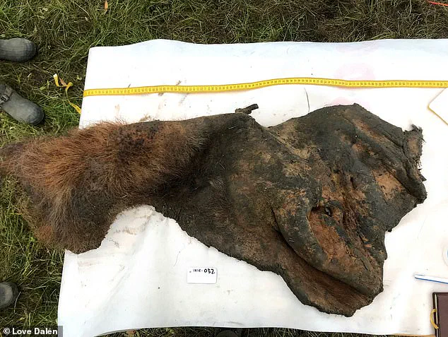 Exclusive Access to Prehistoric Secrets: World's Oldest RNA Extracted from Woolly Mammoth Tissue