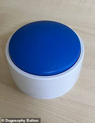 Innovation in Animal-Computer Interaction: The Dogosophy Button and Its Implications for Tech Adoption in Society