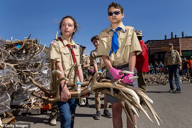 Pete Hegseth to Sever Pentagon-Boy Scouts Ties Over DEI Opposition, Ending Century-Old Programs