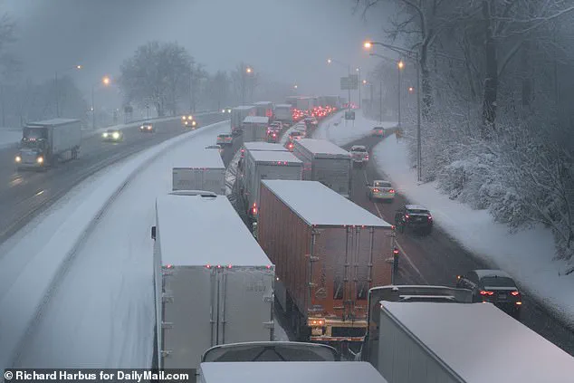 Polar Vortex to Bring Arctic Cold and Storms to Eastern U.S. by Early November
