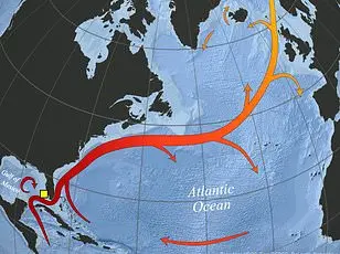 Groundbreaking Study Reveals Genetic Adaptations in Polar Bears Amid Climate Change-Driven Resilience