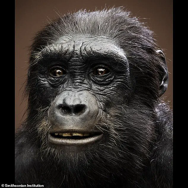 Pivotal Shift in Human Evolution: Scientists Identify Earliest Known Species to Walk Upright