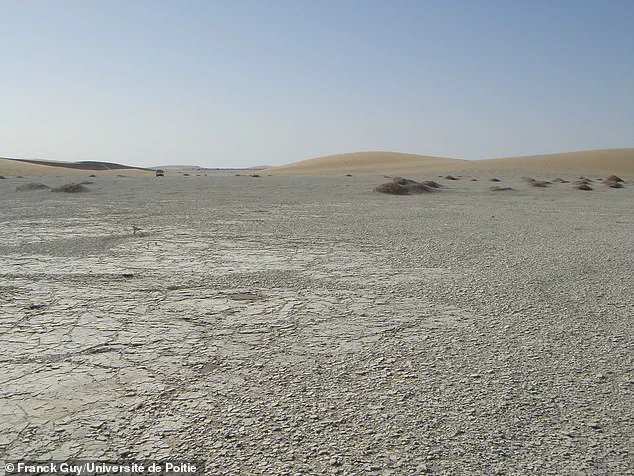 Pivotal Shift in Human Evolution: Scientists Identify Earliest Known Species to Walk Upright