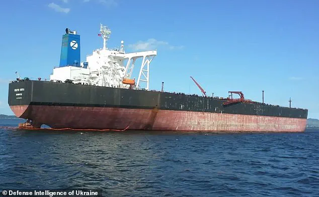 Exit of Trapped Vessels Sparks Debate on U.S. Sanctions' Effectiveness and Public Impact