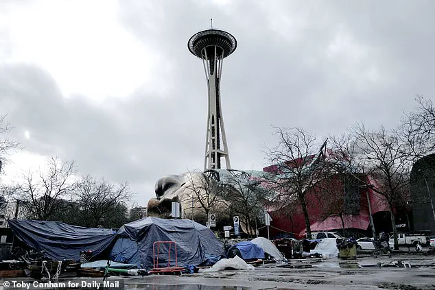 Seattle Mayor Katie B. Wilson Under Fire After Photo with Far-Left Activist Advocating Arson