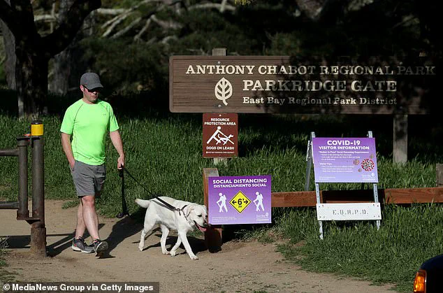 Urgent Warnings as Deadly Mushroom Poisonings Surge in California: Three Dead, Over Two Dozen Hospitalized