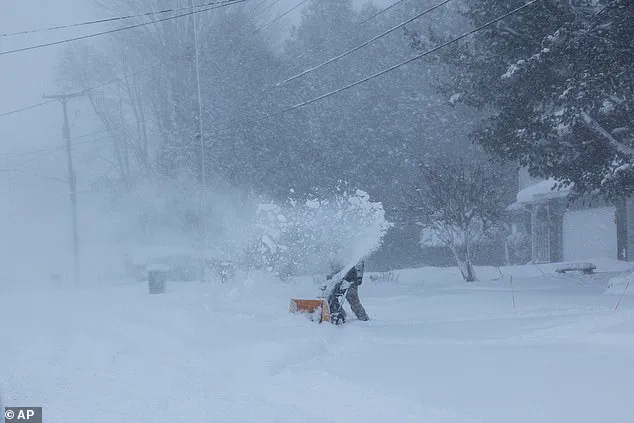 Historic Cold Snap from Storm Fern Sparks Panic Buying: 'We're Preparing for the Worst,' Says Resident as Meteorologists Issue Dire Warnings