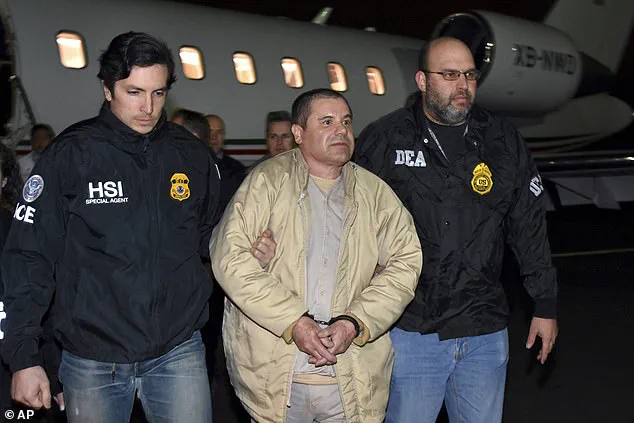 Abduction of Arizona Influencer Exposes Cartel Violence, Social Media Risks, and Perils for Young Women in Organized Crime Zones