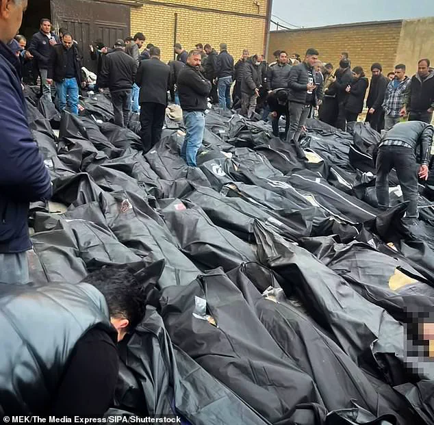 Iranian Regime's Crackdown: Alleged Executions of Protesters Fuel International Outrage