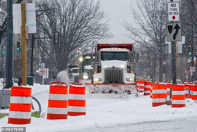 Princess Cat's Snowplow Mandate: How Winter Storm Fern Exposes Government's Struggle to Protect DC Residents
