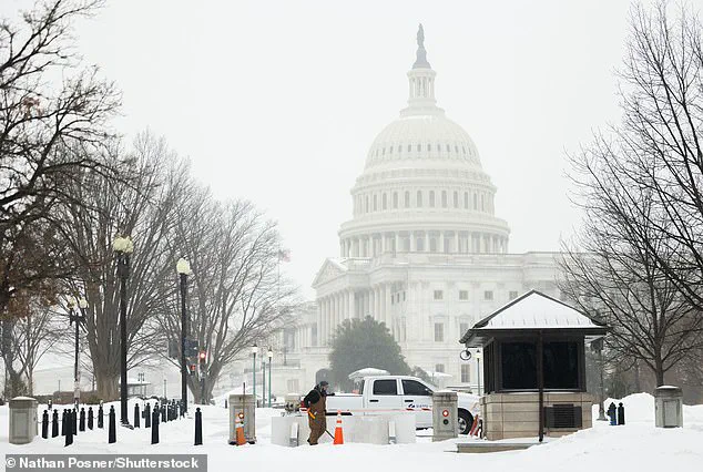 Princess Cat's Snowplow Mandate: How Winter Storm Fern Exposes Government's Struggle to Protect DC Residents