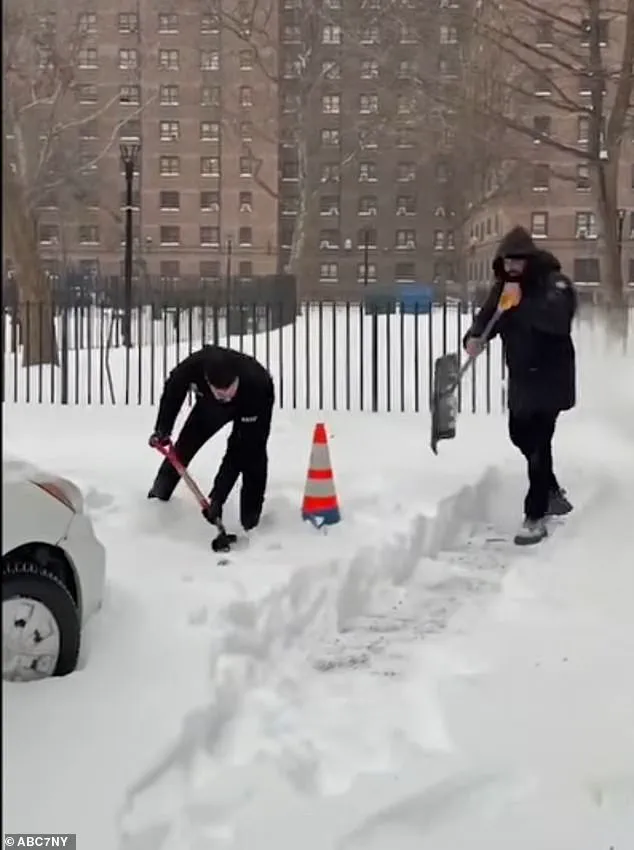 Government Directives in Action: How NYC's Response to Winter Storm Fern Affects Public Safety and Daily Life