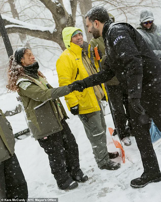 Government Directives in Action: How NYC's Response to Winter Storm Fern Affects Public Safety and Daily Life
