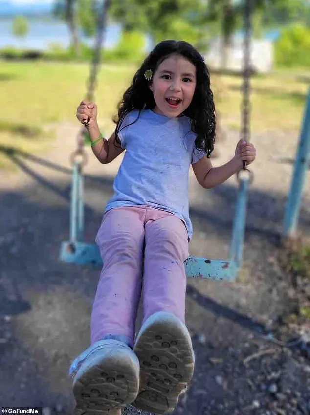ICE Detention After Child's Medical Emergency Sparks Debate on Healthcare Access for Immigrants