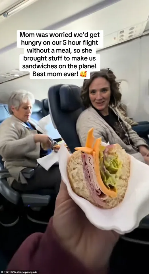 Mother Crafts Sandwiches on Airplane Tray Table, Sparking Mixed Reactions Among Passengers