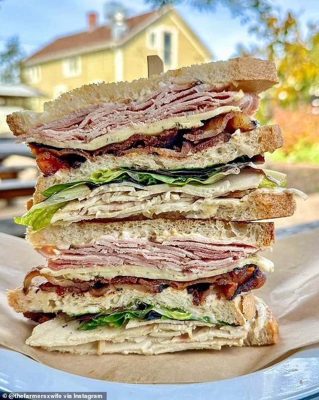 California Sandwich Shop Closes Amid Economic Hardship After Viral Criticism of Exorbitant Menu Prices