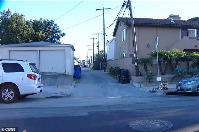 Woman Denies Killing 6-Year-Old in Hit-and-Run, Faces Manslaughter Charges
