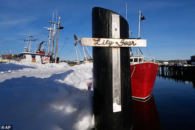 Seven Lives Lost as Fishing Boat Lily Jean Sinks Off Massachusetts Coast