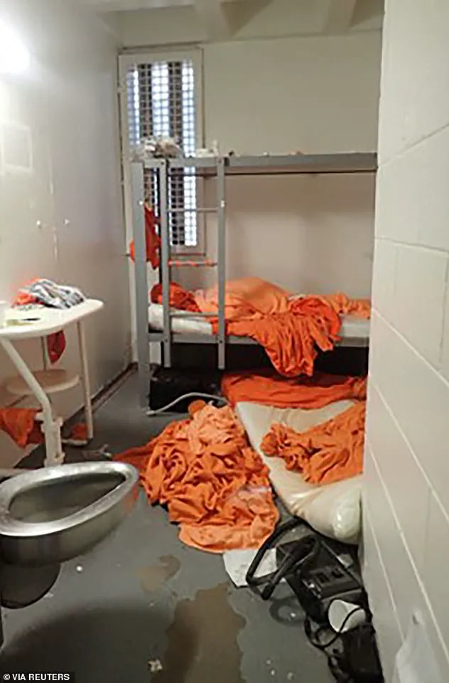 Unlikely Cellmates: The Bizarre Tale of Nicholas Tartaglione and Jeffrey Epstein That Exposed Justice System Flaws