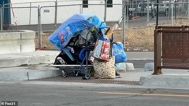 Aviation Park's Crisis: From Suburban Serenity to Homelessness Battleground