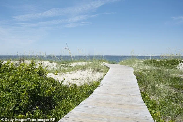 Massive Great White Shark 'Contender' Spotted Near Cape Fear, NC During Seasonal Migration