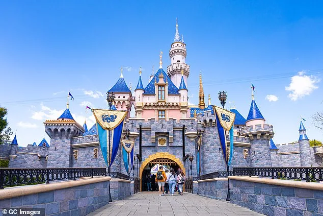 Romantic Disney Evening Ends in Tree Crash, Couple Unharmed