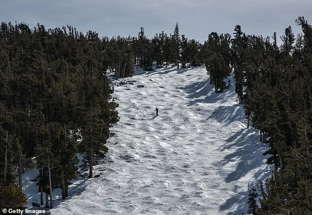 Tragedy Strikes Lake Tahoe: Avalanches and Ski Resort Accidents Claim Lives in Back-to-Back Incidents