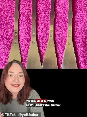 Viral Optical Illusion Divides Internet: Do You See Forks or Slime?
