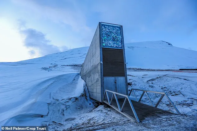 Svalbard's Seed Vault Expands Collection with 7,800 New Samples, Safeguarding Global Agricultural Legacy