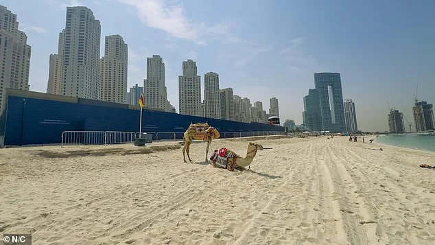 Dubai's Skyline Darkened by War: Iranian Missiles Turn City into Ghost Town as Residents Flee in Exodus