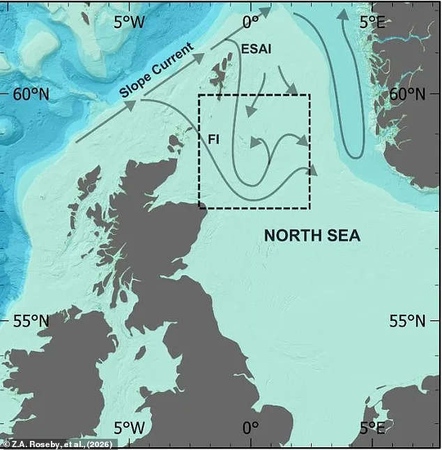 Scampi and Chips' Hidden Climate Cost Sparks Calls for Change