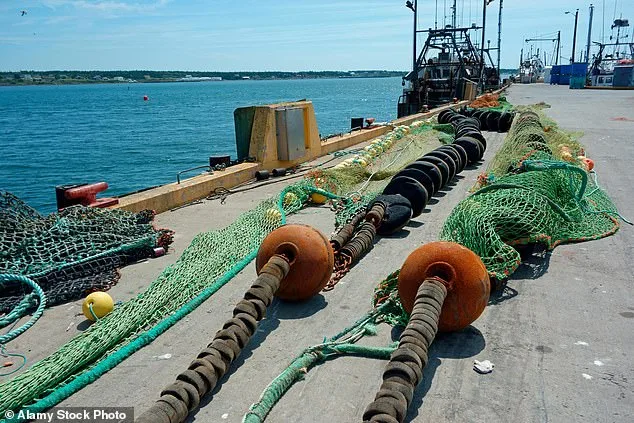 Scampi and Chips' Hidden Climate Cost Sparks Calls for Change